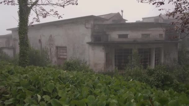 Opuštěné Dětské Sanatorium Caramulu Portugalsko Kde Rostou Rostliny Nad Jeho — Stock video