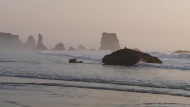 Птицы Отдыхают Скалах Пляже Орегоне Солнце Садится Столбы Исчезают Тумане — стоковое видео