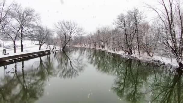 ガラスの小川に沿って雪の反射覆われた木 水はまだ冬の降雪中です 航空便 — ストック動画