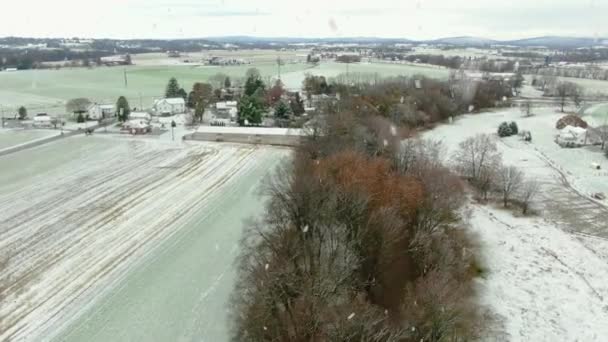 Árvores Longo Riacho Durante Queda Neve Inverno Voo Drone Entre — Vídeo de Stock