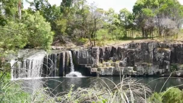 Panning Skott Idylliska Kerikeri Vattenfall Solig Dag Nationalpark Nya Zeeland — Stockvideo