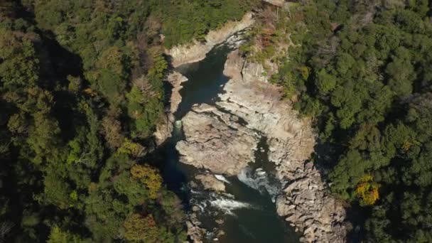 Vista Aérea Mukogawa Desfiladeiro Florestal Hyogo Japão — Vídeo de Stock