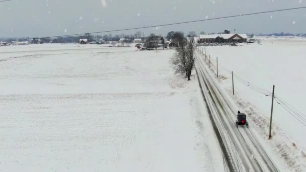 冬季暴风雪期间 农村道路上的阿米什马和婴儿车空中跟踪拍摄 距离教堂 — 图库视频影像