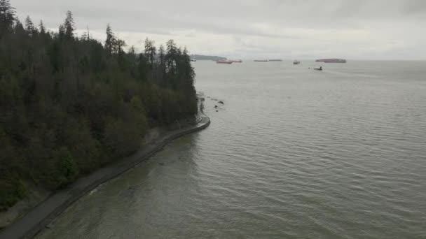 Stanley Park Seawall Con Petroleros Buques Carga Fondo — Vídeo de stock