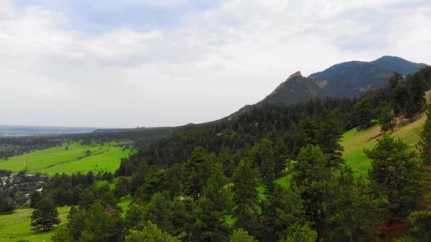 Jehličnatý Borovicový Porost Pokrývající Svěží Green Colorado Mountainside Hillside Drone — Stock video