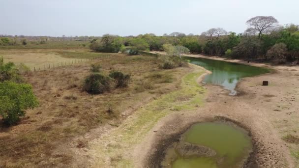 パンタナール ブラジルでの激しい干ばつの間の乾燥した湿地の空中ビュー — ストック動画