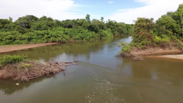 Aquidauana Nehri Pantanal Brezilya — Stok video