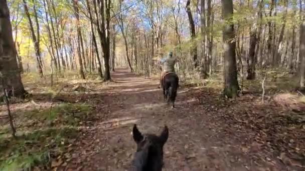 Reiten Auf Dem Crosswinds Equestrian Trail Crosswind Marsh Preserve Michigan — Stockvideo