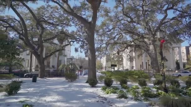 Sneeuw Het Centrum Van Savannah Georgia Park Plein Winter — Stockvideo