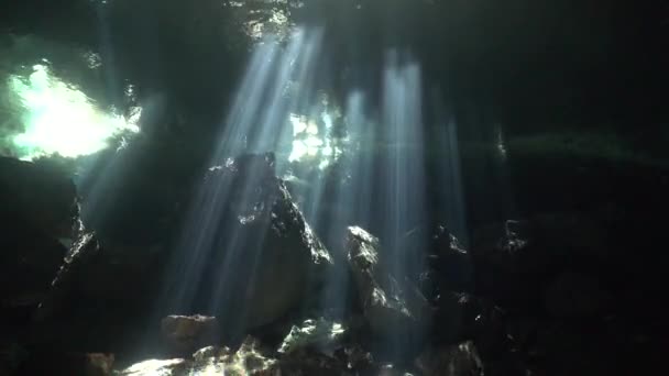 Solstrålar Lysa Tråg Vattenytan Cenote Chikin Undervattens Grotta System Yucatan — Stockvideo