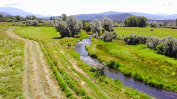 Zwei Menschen Angeln Kleinen Water Creek River Lebhaften Colorado Countryside — Stockvideo
