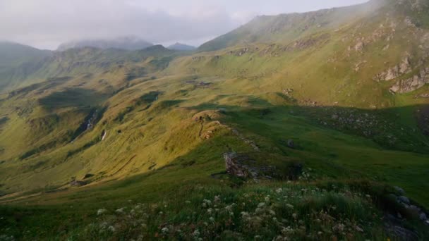 Österreichische Alpenlandschaft Mit Wegen Und Grasbewachsenen Bergen Und Blumen Vordergrund — Stockvideo