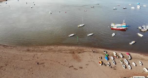 Aerial Noleggio Barche Banco Sabbia Sul Fiume Teign Dolly Indietro — Video Stock