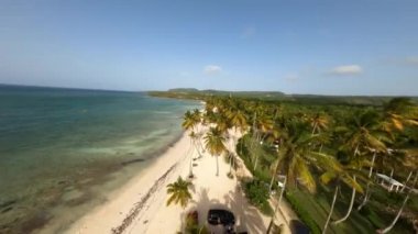 Las Galeras plajındaki palmiye ağaçları üzerinde uçan fpv, Dominik Cumhuriyeti