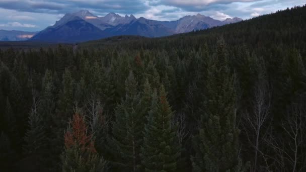 Bergkette Nähert Sich Kiefernwald Aus Nächster Nähe — Stockvideo