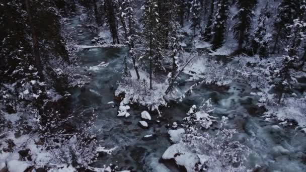 Creek Com Neve Larga Estática Esquerda — Vídeo de Stock