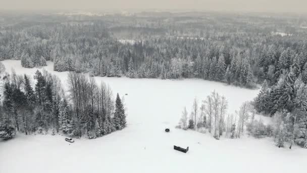 冬季空中飞越被白云杉环绕的白雪覆盖的农田 多云天气下飞越森林 — 图库视频影像