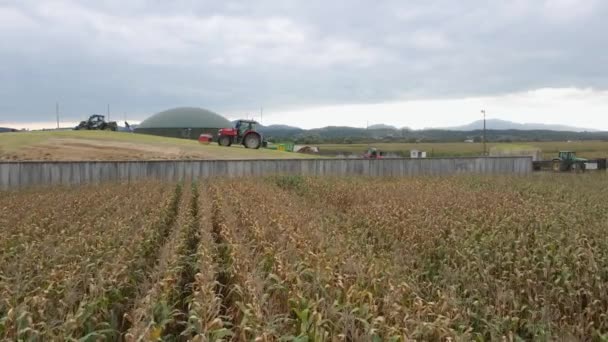 Traktory Sbírající Biologické Suroviny Podél Kukuřičného Pole Pro Výrobu Energie — Stock video