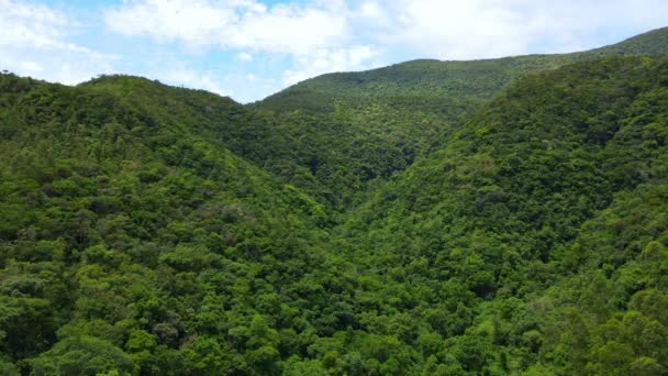 有山丘和茂密森林的绿色山谷的空中无人驾驶飞机图像 — 图库视频影像