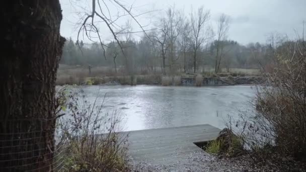 Lago Congelado Con Puente Muelle Solitario Ambiente Invernal Árbol Primer — Vídeos de Stock