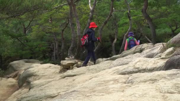 Twee Vrouwelijke Wandelaars Beschermende Maskers Wandelen Achasan Mountain Seoul Zuid — Stockvideo