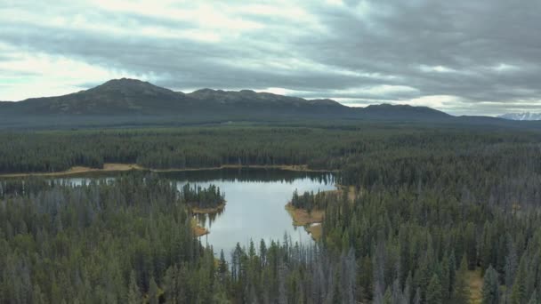 Floresta Pinheiros Imensa Com Lago Plano Calmo Montanhas Distantes Dia — Vídeo de Stock