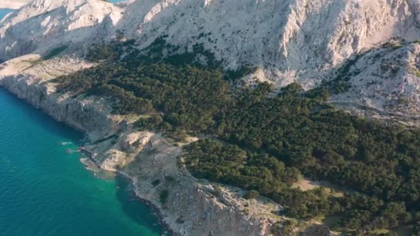克罗地亚克里克岛上落基山脉上茂密的绿林 空中飞行 — 图库视频影像