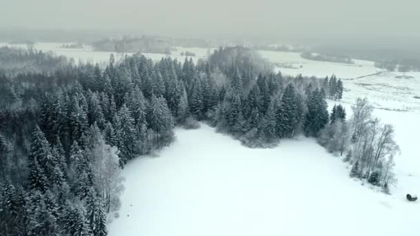 Verschneites Gelände Mit Hütte Der Nähe Von Üppigem Nadelwald Winter — Stockvideo