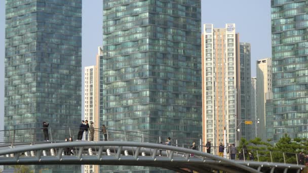 Footbridge Πεζογέφυρα Στο Songdo Central Park Στο Ίντσεον Της Νότιας — Αρχείο Βίντεο