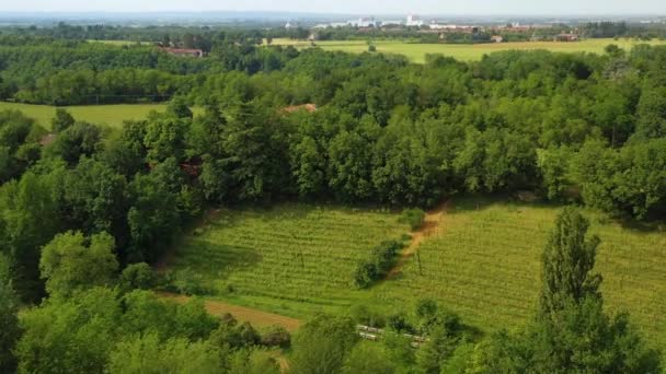 从空中俯瞰森林和种植园 发现意大利皮埃蒙特的一个酿酒厂正在盘旋 无人驾驶飞机被击中 — 图库视频影像