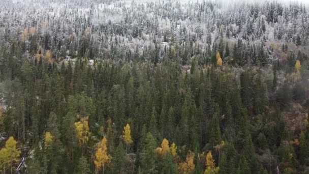 Transición Árboles Otoño Invierno Noruega Mountain Drone Shot — Vídeos de Stock