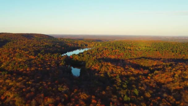 가을이 노공원의 호수들을 공중에서 내려다본 — 비디오