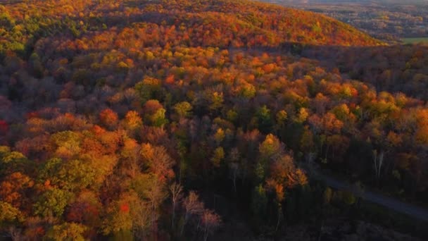 Letecký Výhled Kopce Parku Gatineau Údolí Ottawa Při Západu Slunce — Stock video