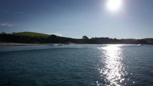 Blue Waves Tawharanui Regional Park Beach New Zealand — Stock Video