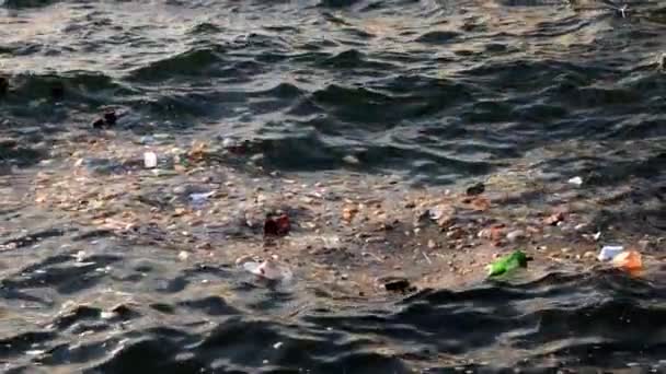 Déchets Plastiques Flottants Dans Océan Contamination Eau Par Des Microplastiques — Video