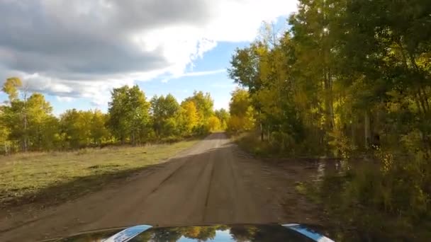 Stoppa Nära Skogen När Kör Grusväg Solig Dag Pov Utsikt — Stockvideo