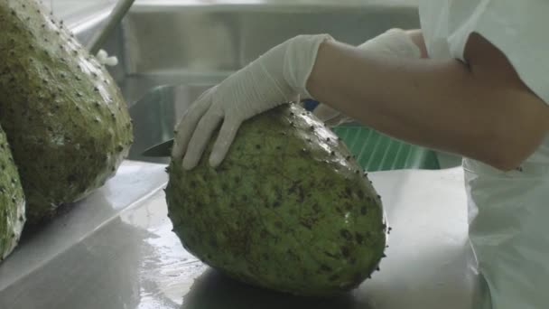 Sauerampferschälen Prozess Fruchtfleisch Fabrik — Stockvideo