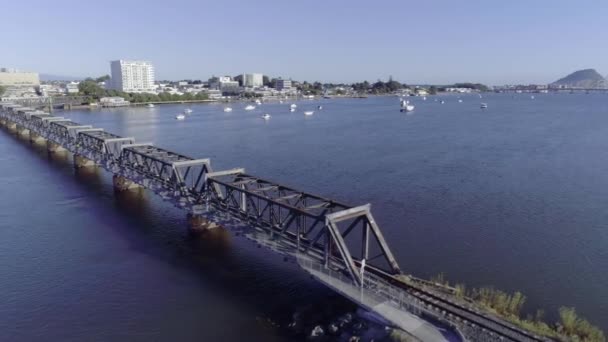 Oude Stalen Matapihi Spoorbrug Van Tauranga Baai Van Overvloed Antenne — Stockvideo