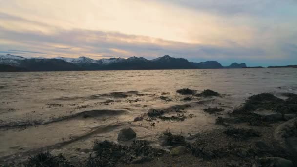 Світлі Океанічні Хвилі Падають Берег Перед Холодними Далекими Горами — стокове відео