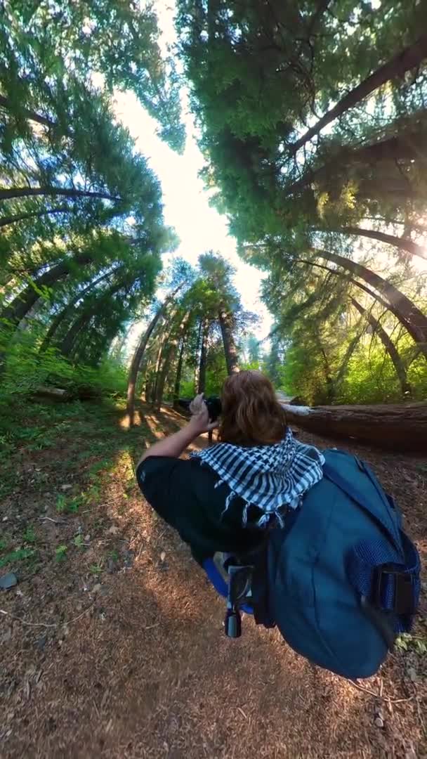 Mochilero Usa Cámara Para Sacar Fotos Ciervo Bosque Oregón — Vídeo de stock