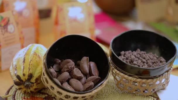 Csokoládéval Borított Diófélék Amelyeket Amazonasi Esőerdők Ökológiai Gazdaságaiból Szüretelt Kakaótartályokból — Stock videók