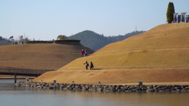 Viaggiatori Sentieri Spirale Nel Giardino Del Lago Suncheonman Bay National — Video Stock