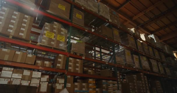 Large Distribution Warehouse Interior Boxes Cargo Stacked Shelves Low Angle — Stock Video