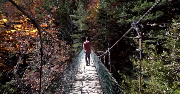 Vue Arrière Jeune Randonneur Européen Avec Suspension Passage Chemise Rouge — Video