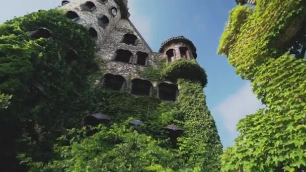 Ravadinovo Kalesi Nin Dışı Yeşil Ivy Mantle Ile Kaplı Bulgaristan — Stok video