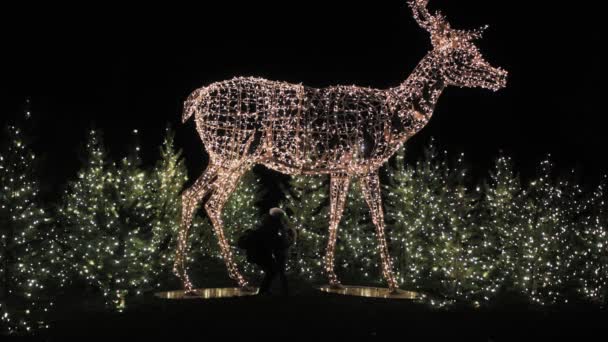 Mother and toddler daughter looking at Christmas light decorations like a giant reindeer