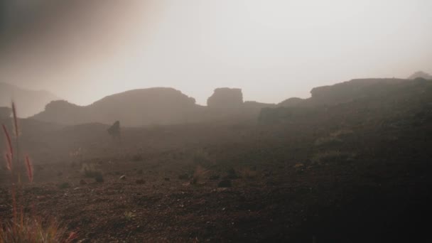 4K人在以山丘为背景的多雾的岩石沙漠中行走 — 图库视频影像