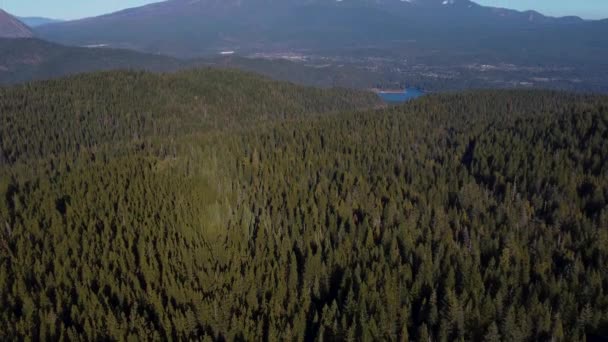 Letecké Odhalení Shasta Severní Kalifornii Kamera Naklání Lesa Horu — Stock video