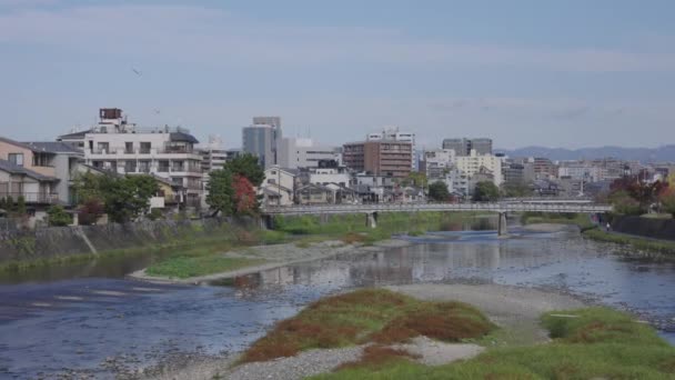 Kyoto Şehri Kamo Gawa Nehri Arkaplan Çekimi Kuruluyor — Stok video