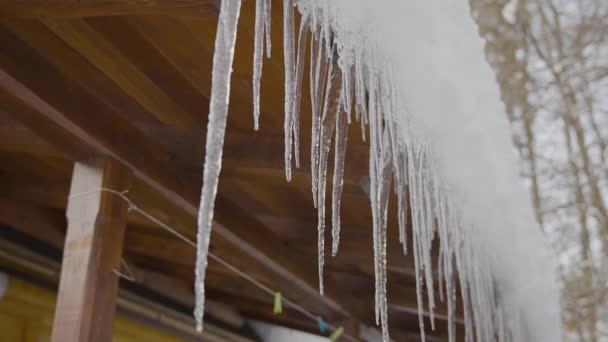 Les Pointes Glace Fondent Ralenti Hiver Avec Mouvement Caméra — Video